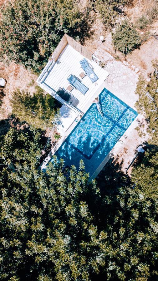 Jasmin Suite סוויטת יסמין Amirim Εξωτερικό φωτογραφία